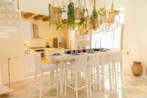 casa diluca cartagena hotel boutique
