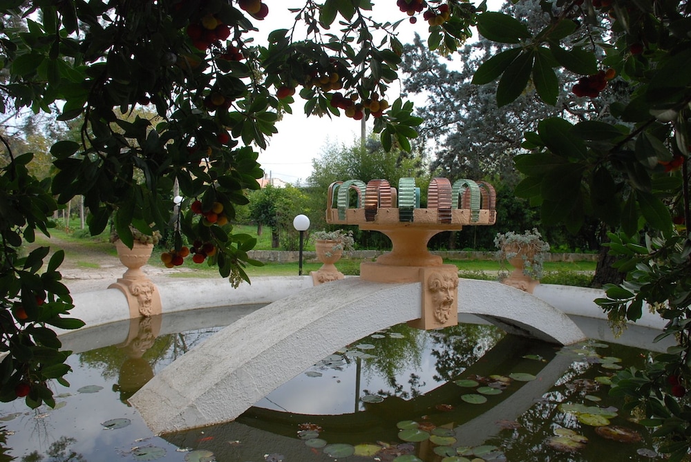 alezio
