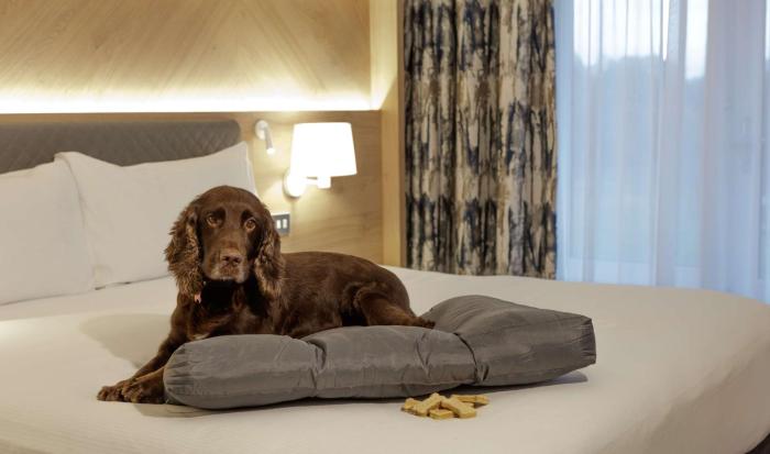 hilton cobham