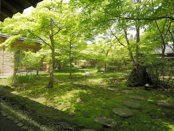 shibata