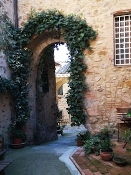 lantico borgo di torri