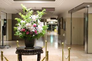 Hotel Newitaya,,3 star