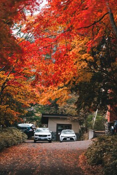 nikko