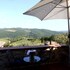 gaiole in chianti