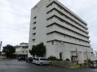 hotel new daishin