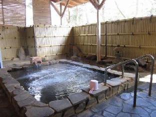 hotel new daishin
