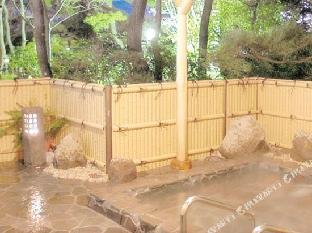 hotel new daishin