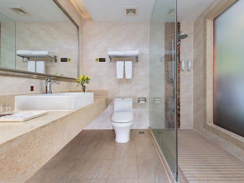 viennahotel shenzhen pingshan shenshan road