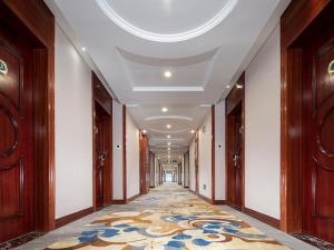 viennahotel shenzhen pingshan shenshan road