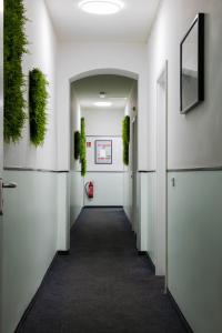 hotel alex berlin