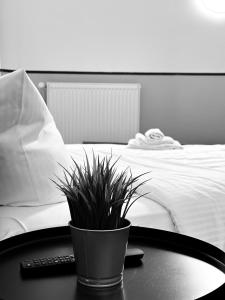 hotel alex berlin