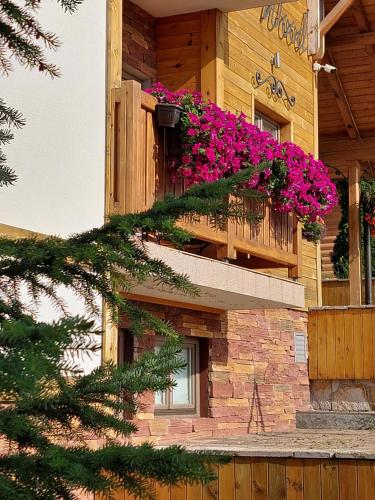 zlatibor