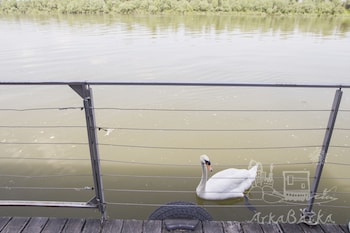 arkabarka floating hostel and apartments