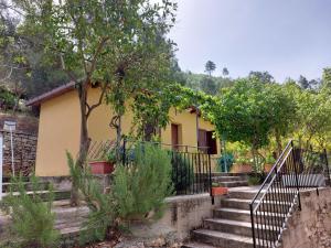 montevago