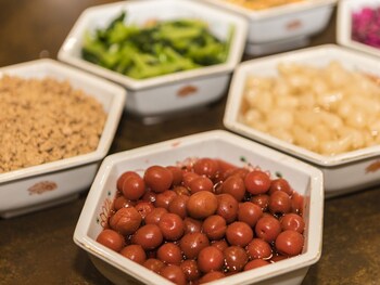 Japanese Onsen Ryokan Kohakuen,,4 star