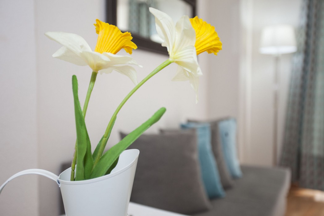 apartamentos fuencarral 50