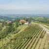 farigliano