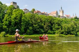 bad wimpfen