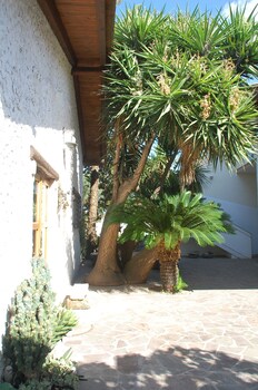 cabras