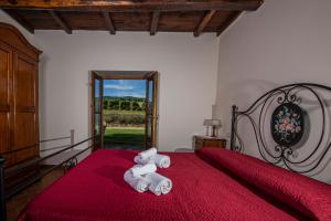 agriturismo antico fio