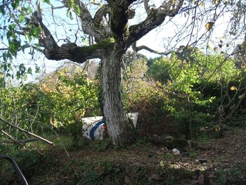 villanova monteleone