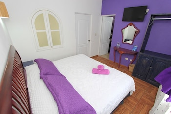 maggic home panoramica adults only