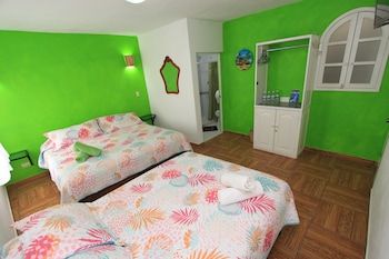 maggic home panoramica adults only