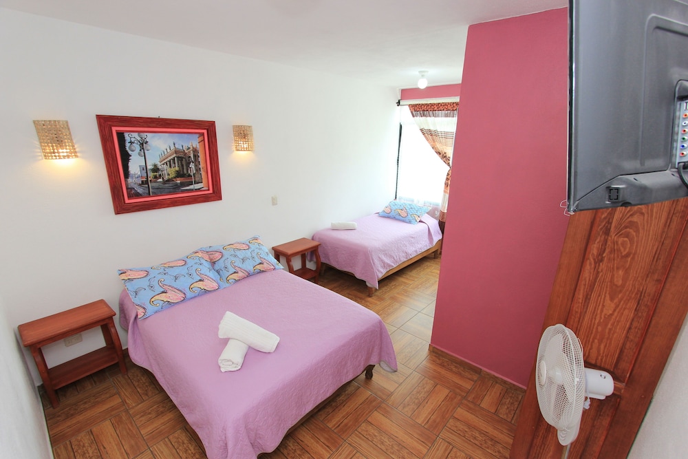 maggic home panoramica adults only