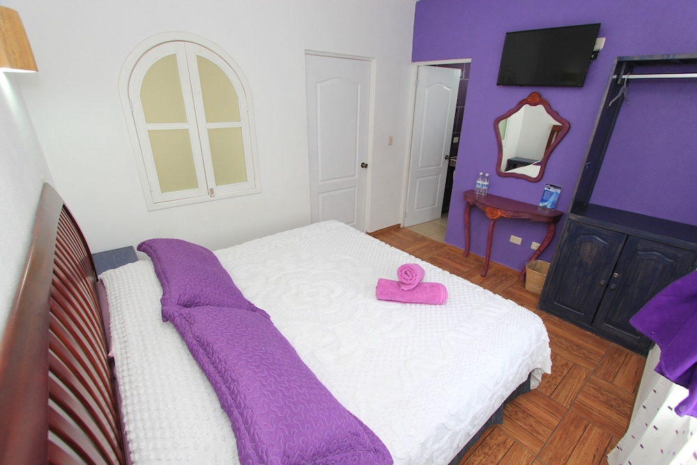 maggic home panoramica adults only