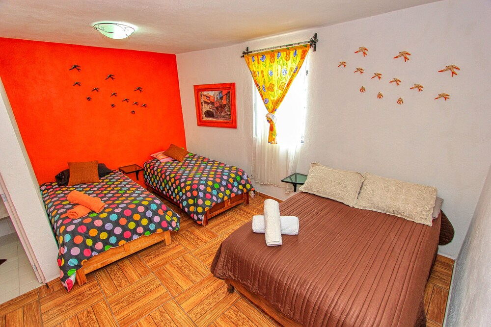 maggic home panoramica adults only