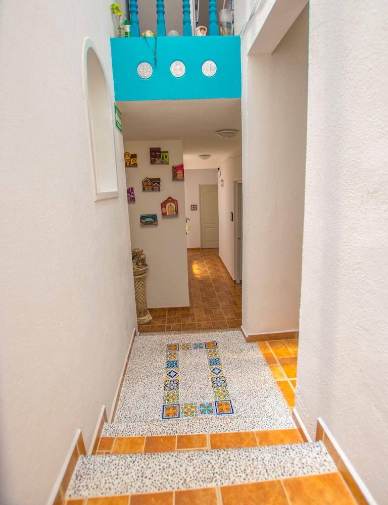 maggic home panoramica adults only