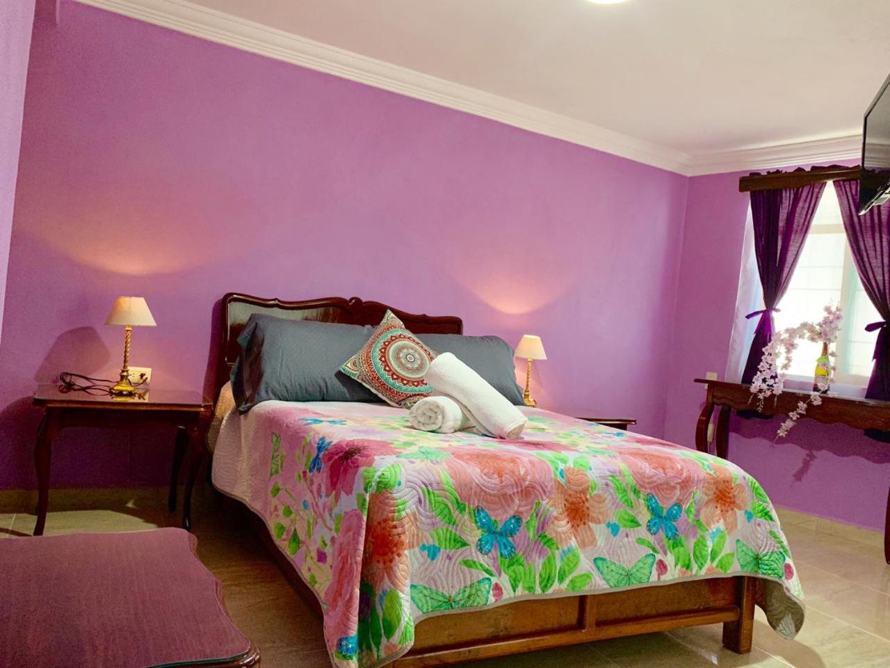 maggic home panoramica adults only