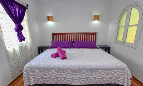 maggic home panoramica adults only