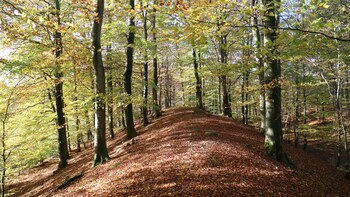 grottbyn skanes djurparks camping