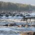 haparanda