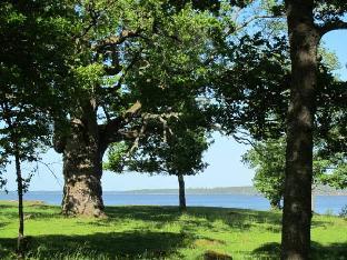 mariestad