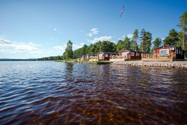 first camp orsa