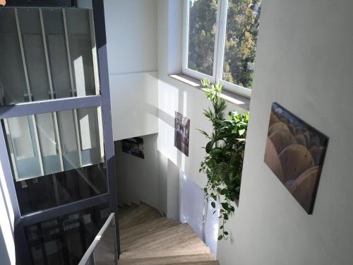 la cordata accommodation woodhouse bike hotel