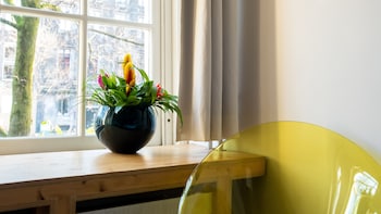 rosalias menagerie innupstairs