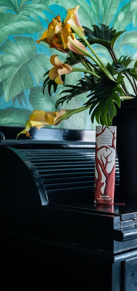 rosalias menagerie innupstairs