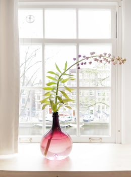 rosalias menagerie innupstairs