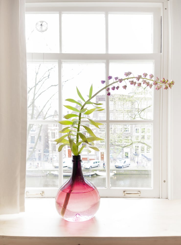 rosalias menagerie innupstairs