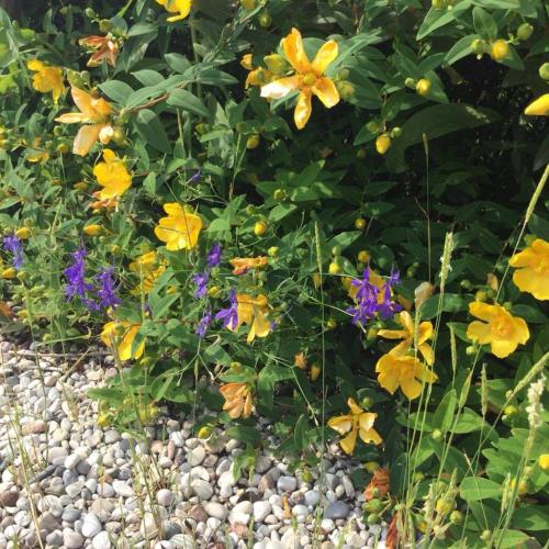 Corte Castello,,1 star