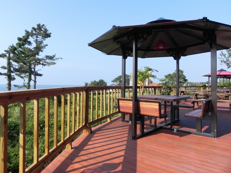 new ocean resort