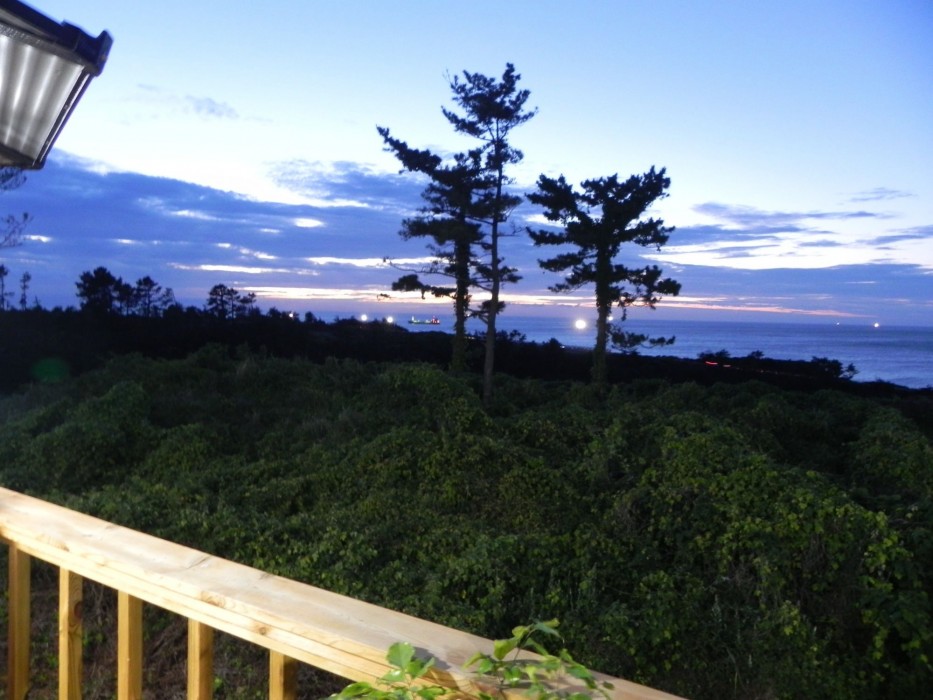 new ocean resort