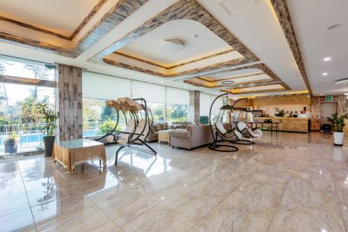 new ocean resort