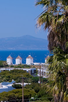 dimele rooms and studios