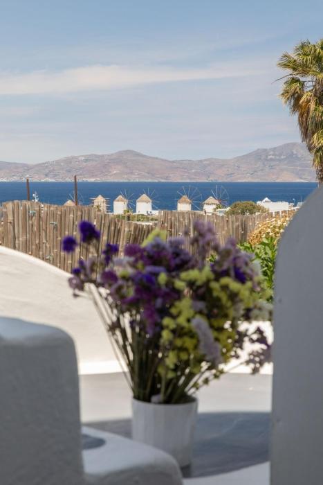 dimele rooms and studios