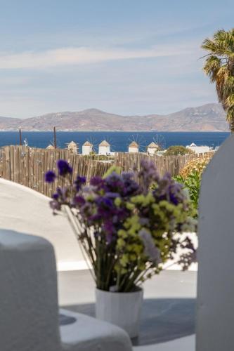 dimele rooms and studios