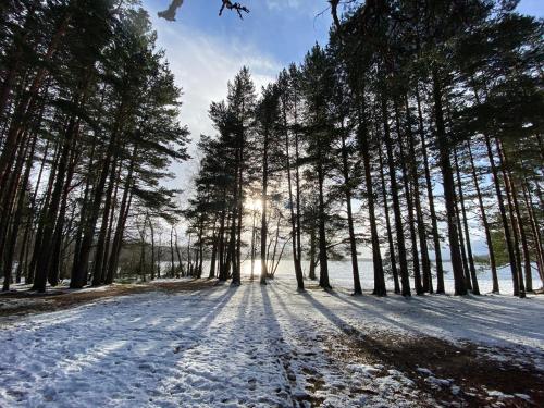 cairngorm guest house